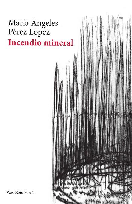 Incendio mineral | 9788412348750 | Pérez López, María Ángeles