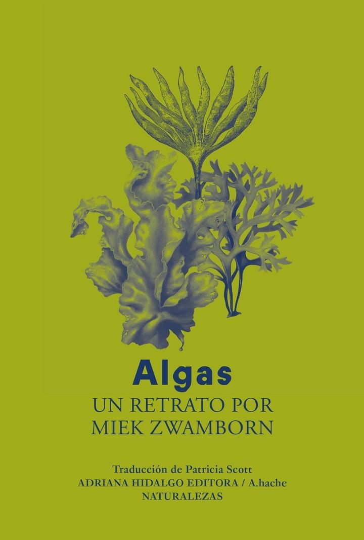 Algas | 9788419208873 | Zwamborn, Miek
