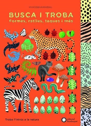 Busca i troba formes, ratlles, taques i més | 9788494504242 | VV.AA.