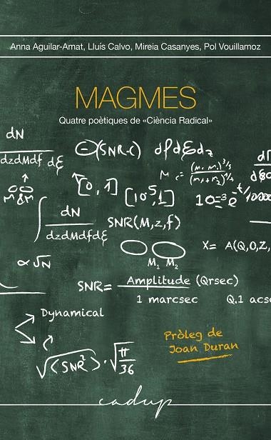 Magmes | 9788412991574 | Aguilar-Amat, Anna / Calvo Guardiola, Lluís / Casañas Dalmau, Mireia / Vouillaumoz Ruíz, Pol