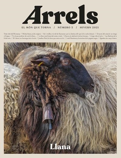 Arrels #5 | 9788418928017 | Sucarrats i Miró, Josep Maria