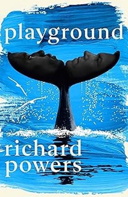 Playground | 9781529154320 | Powers, Richard