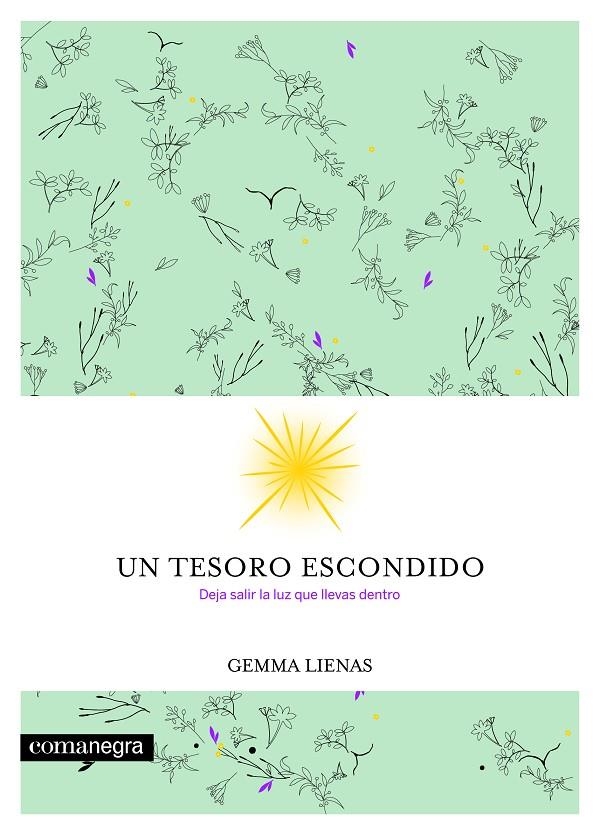 Un tesoro escondido | 9788416605354 | Lienas Massot, Gemma