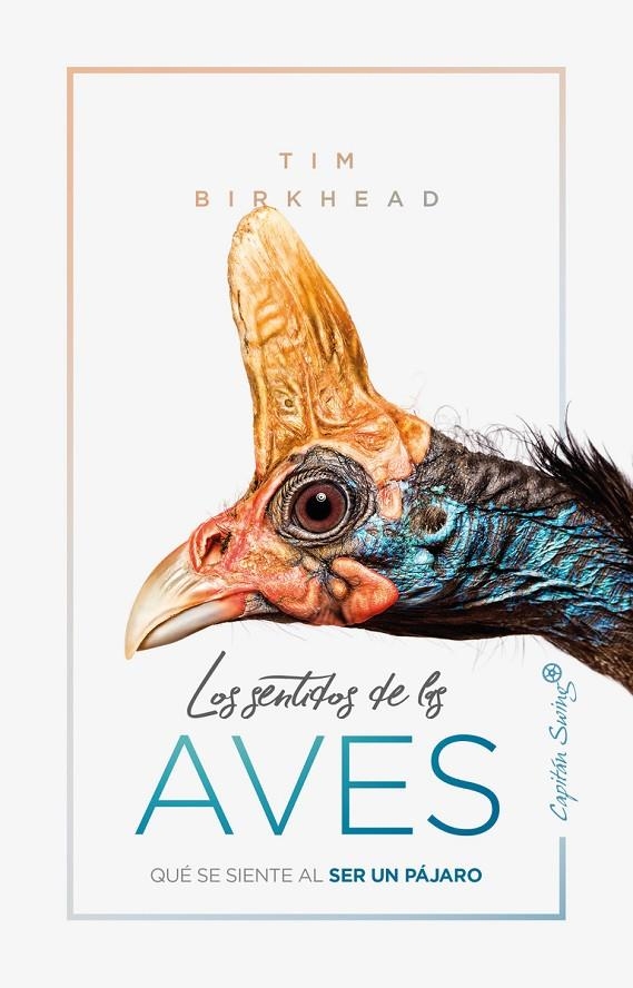 Los sentidos de las aves | 9788412064506 | Birkhead, Tim