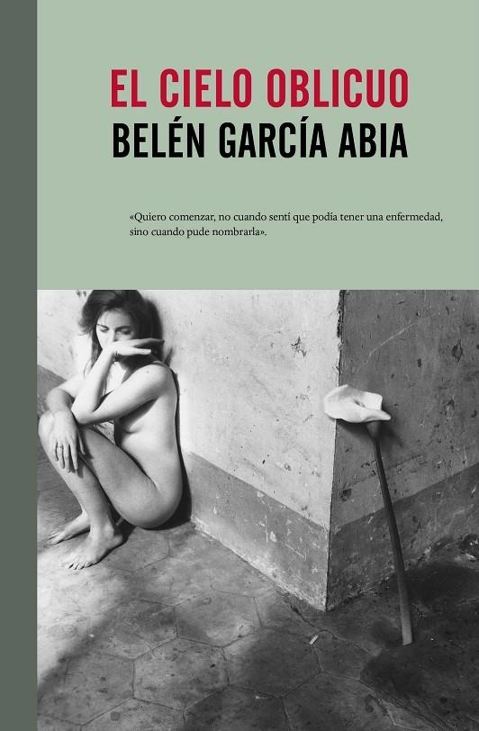El cielo oblicuo | 9788415217930 | García Abia, Belén